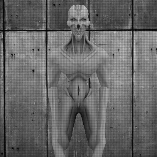SCP-966, SCP: Anomaly Breach 2 Fanmade Wiki